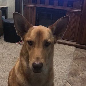 Meet your Posher, Kathleen